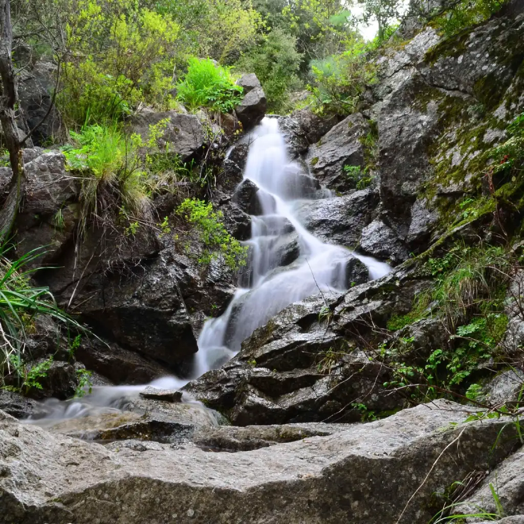 Immersione in natura