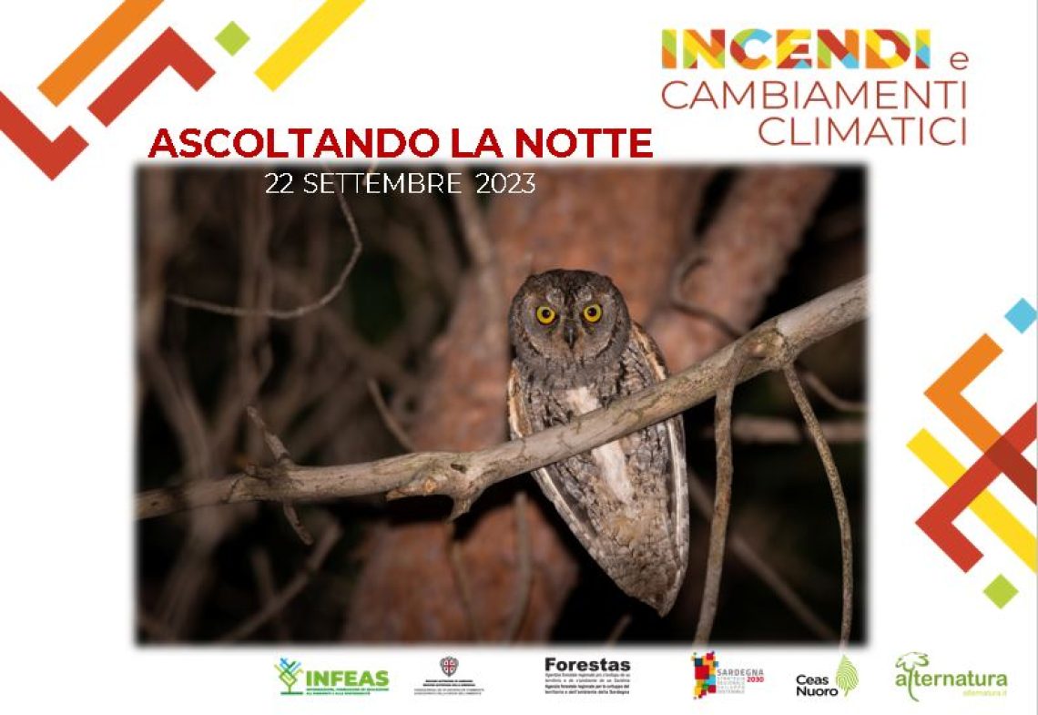 Ascoltando-la-notte