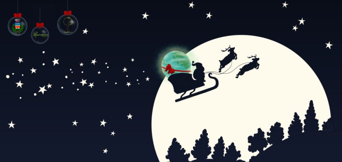 Banner N+S Sito