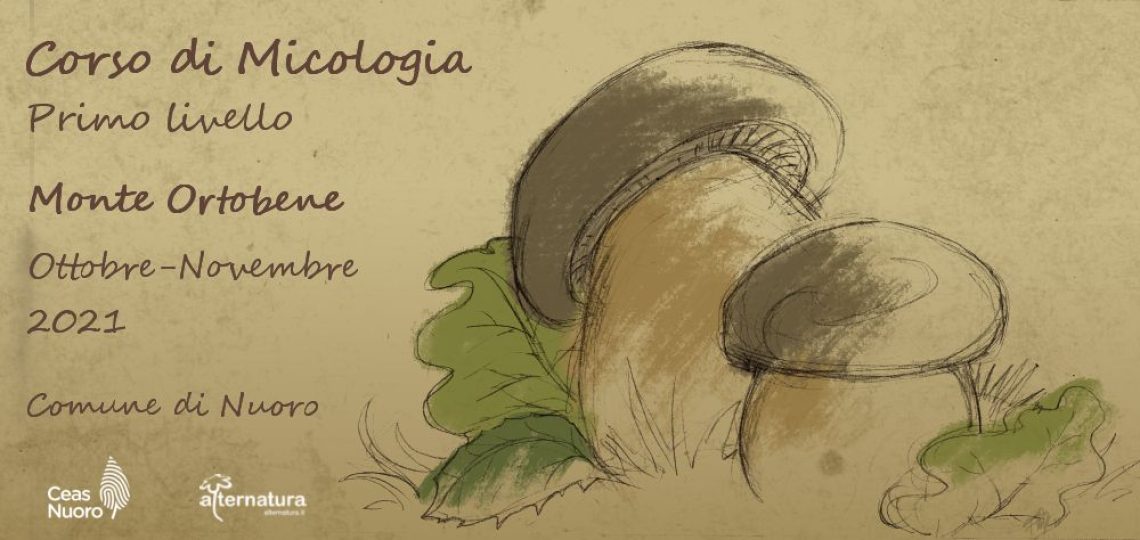 Banner corso di micologia