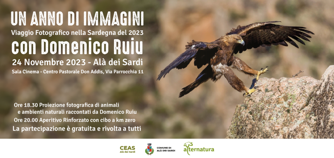 CEAS Alà Un Anno di Immagini Domenico Ruiu banner sito Alternatura