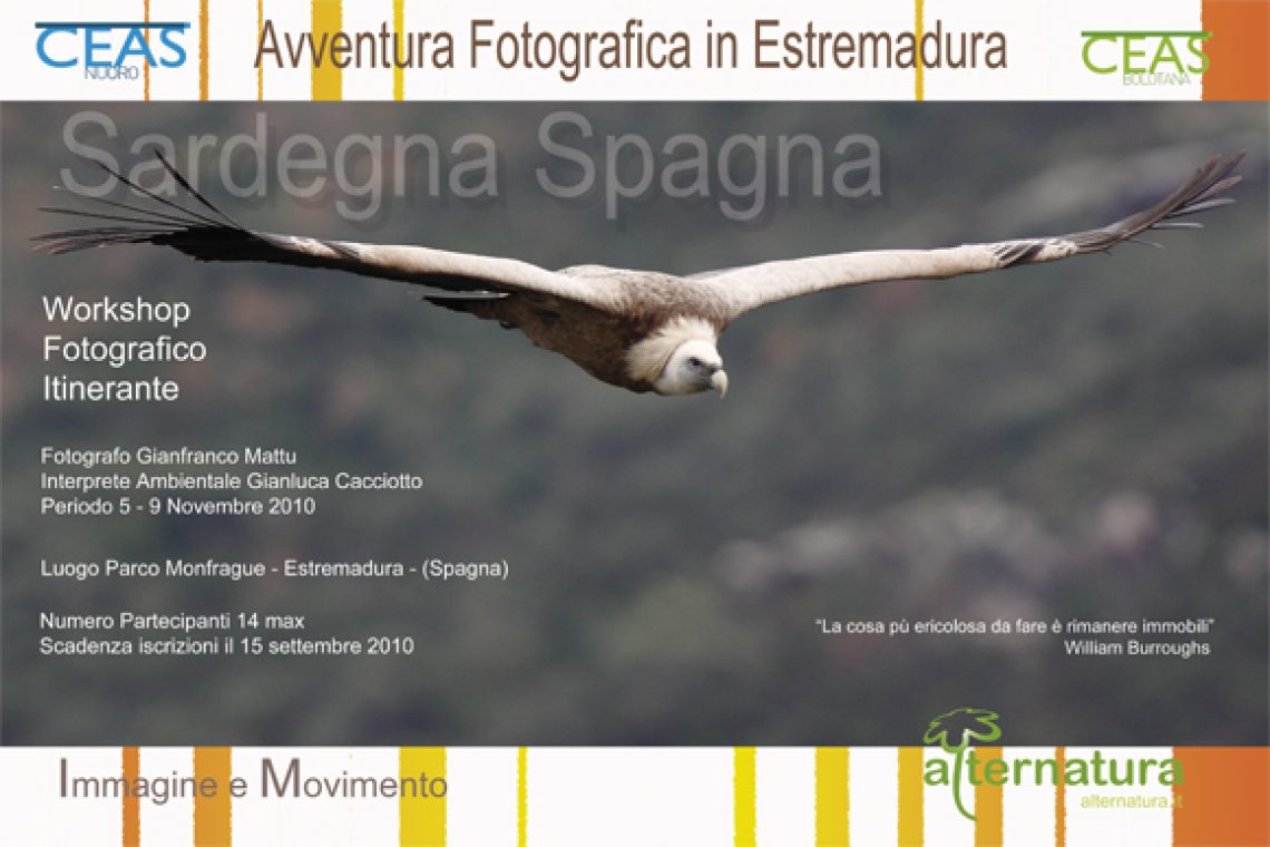 Cartolina Workshop Estremadura 2010 sito