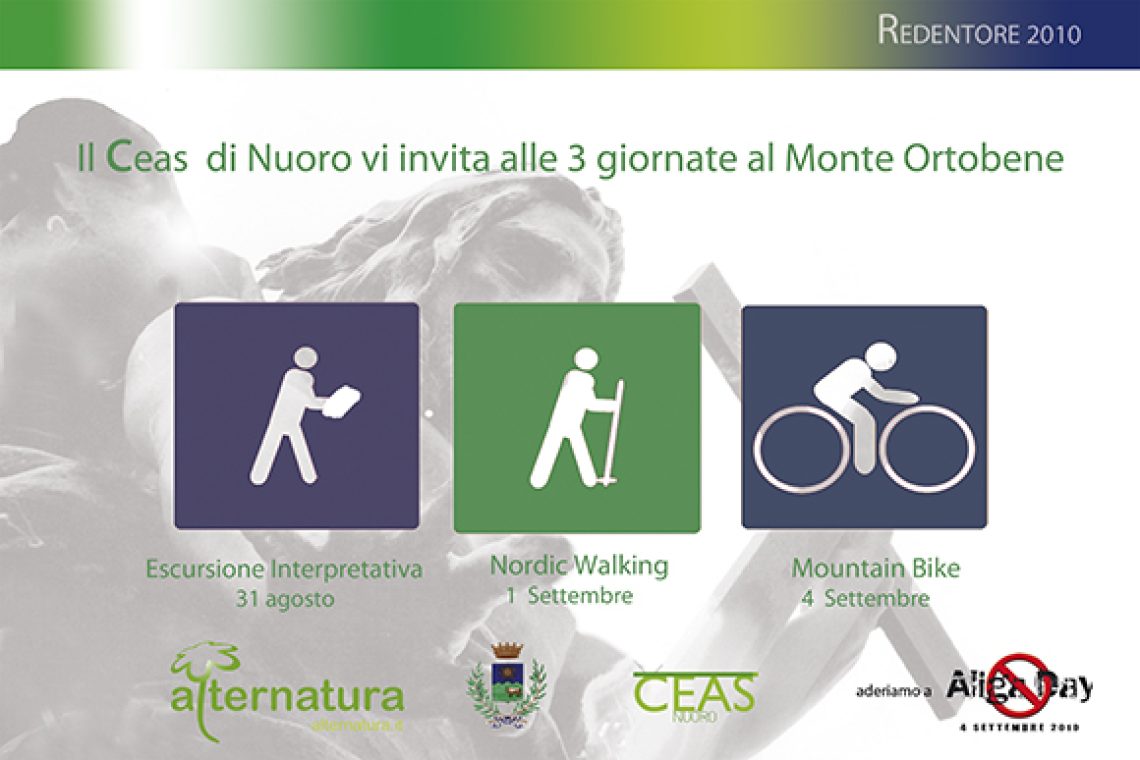Cartolina sito Redentore 2010