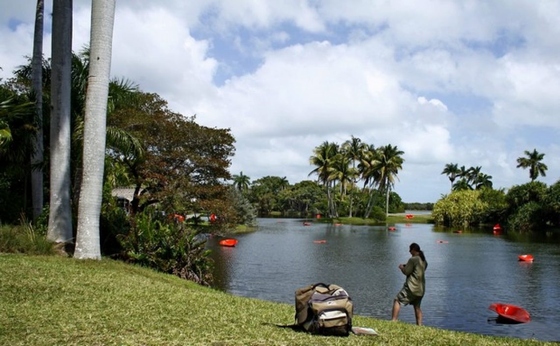 Fairchild park