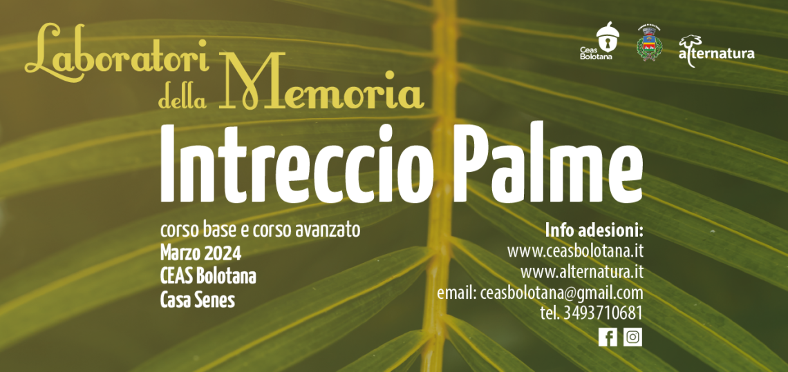 Laboratori della Memoria Intreccio palme banner sito Alternatura 2024