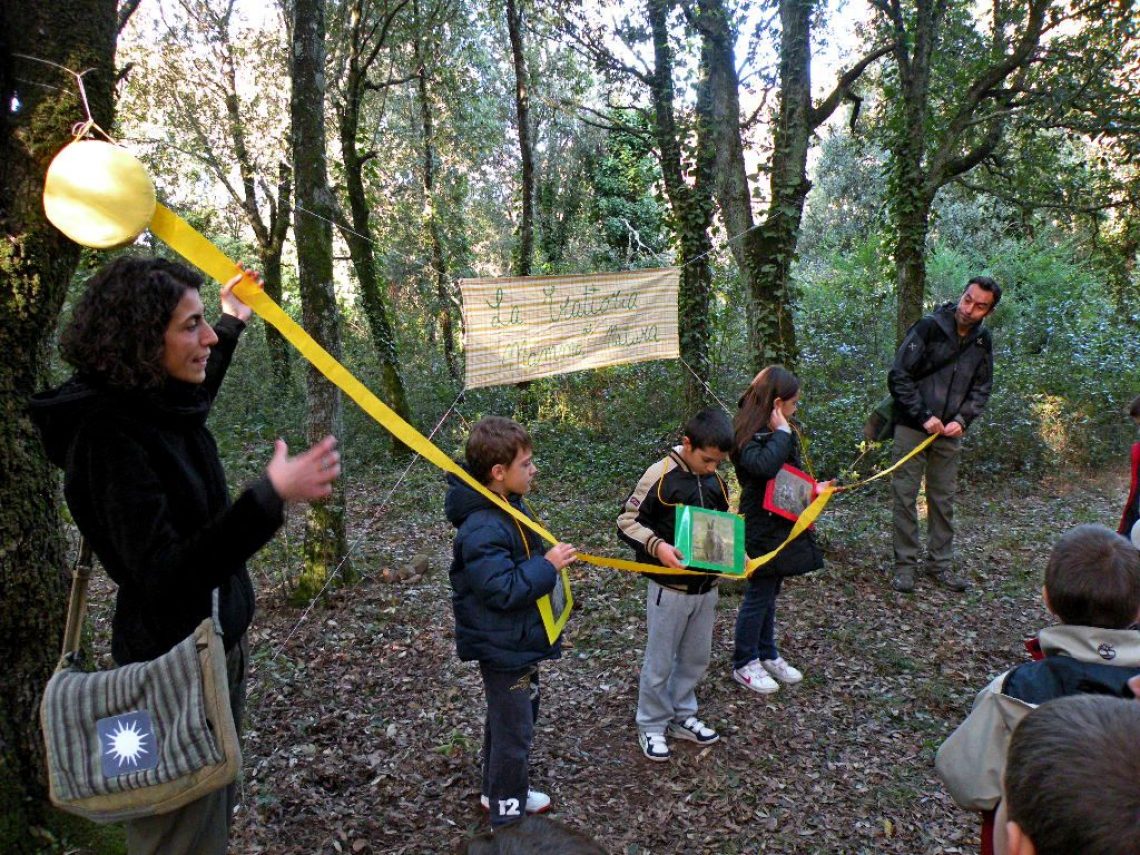 Linee Sgranocchiamento 12