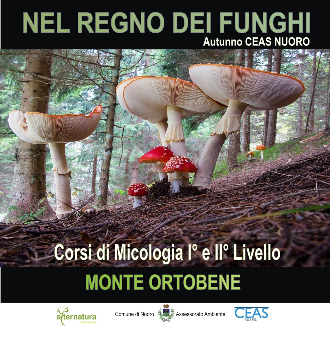 Slide Micologia Sito 14