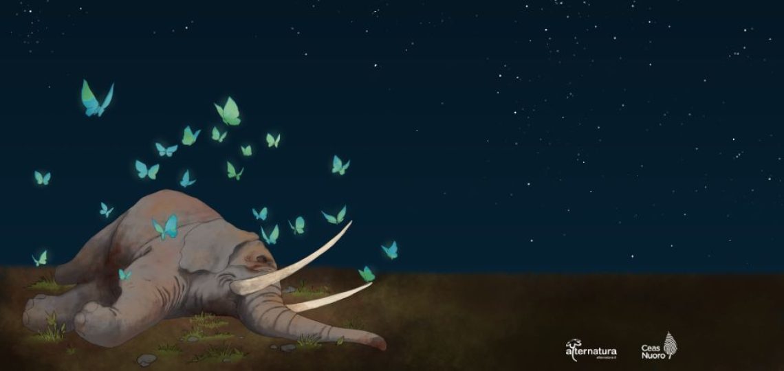 banner elef morto