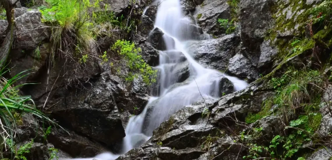 ceas-nu-sito-percorsi-esperienze-immersione-in-natura-quadrata