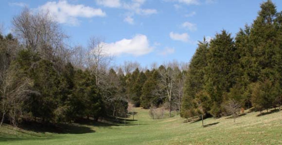 cedar_cove3